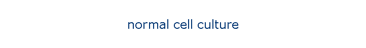 normal cell culture