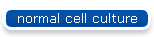 normal cell culture
