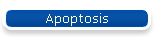 Apoptosis