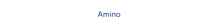 Amino