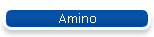 Amino