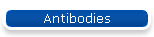 Antibodies