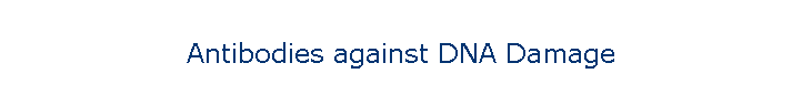 Antibodies against DNA Damage