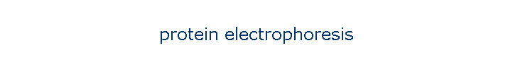 protein electrophoresis