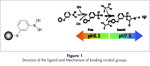 Figure1